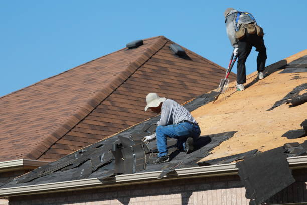 Best Skylight Installation and Repair  in Town Creek, AL