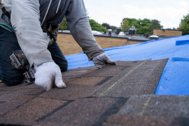 Best Roof Moss and Algae Removal  in Town Creek, AL